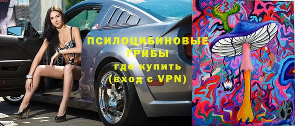 твердый Белокуриха