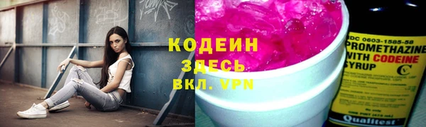 индика Белоозёрский