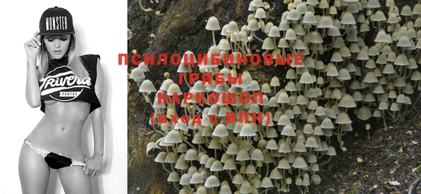 индика Белоозёрский