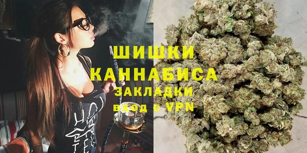 индика Белоозёрский