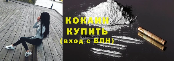 твердый Белокуриха